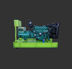 GDZ 55